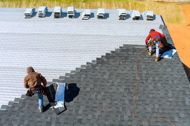 Best Roof Moss and Algae Removal  in Hanahan, SC